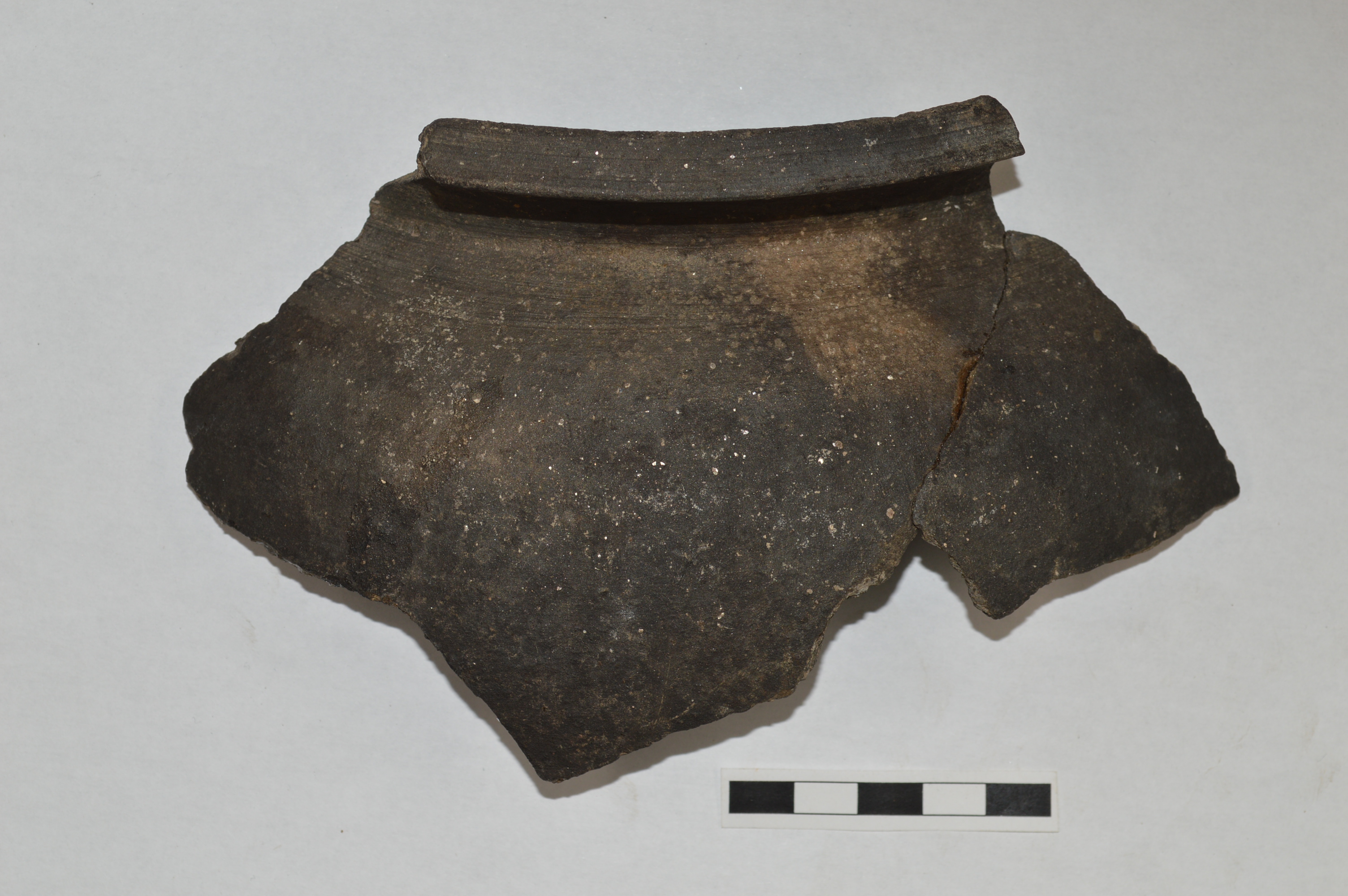 Ola de cerámica común gris medieval localizada en Covas Eirós e obxecto de análise